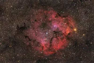 IC 1396 - Elephantenrüsselnebel