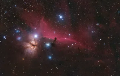 IC 434 - Pferdekopfnebel (2025)