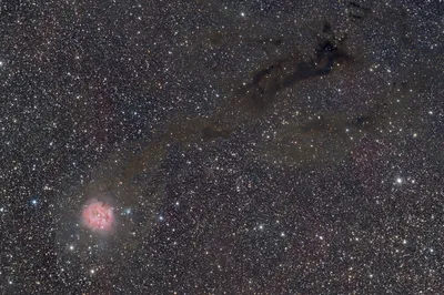 IC 5146 - Kokon-Nebel