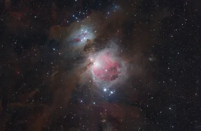 M42 - Orion Nebel (2024)