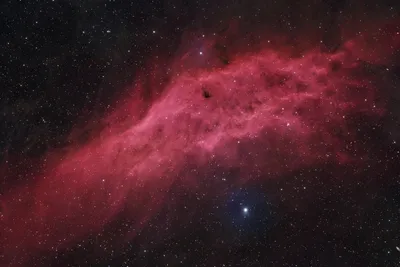 NGC 1499 - Kaliforniennebel (2024)