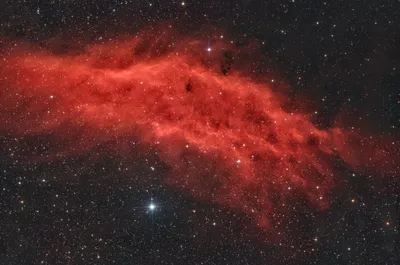 NGC 1499 - Kaliforniennebel (2025)