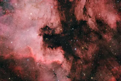 NGC 7000 - Nordamerikanebel (2024)