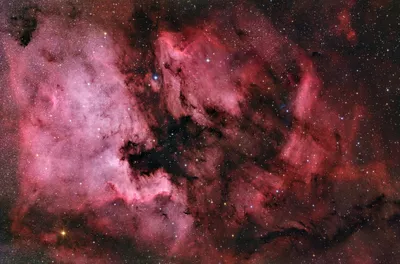 NGC 7000 - Nordamerikanebel (2025)