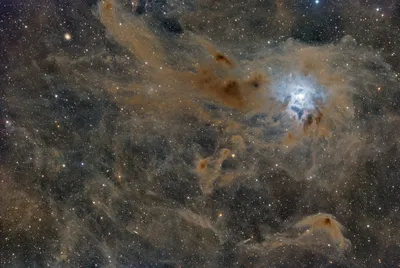 NGC 7023 - Iris Nebel