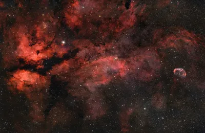 Sadr Region mit NGC 6888